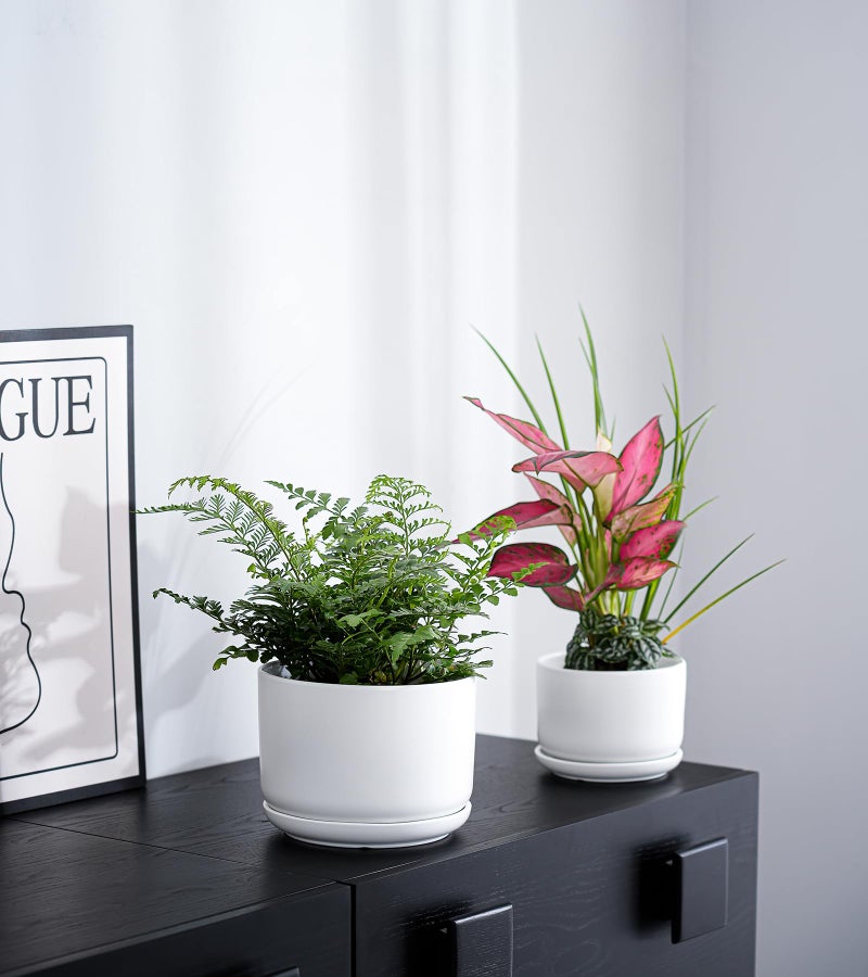 Ton Sin Plant Pots, 4.1+5.1+6.5 inch, Set of 3, Ceramic Planters with Drainage Hole and Saucer, Indoor Flower Pot Gifts for Momï¼ˆMatte Blackï¼‰ - Image 2