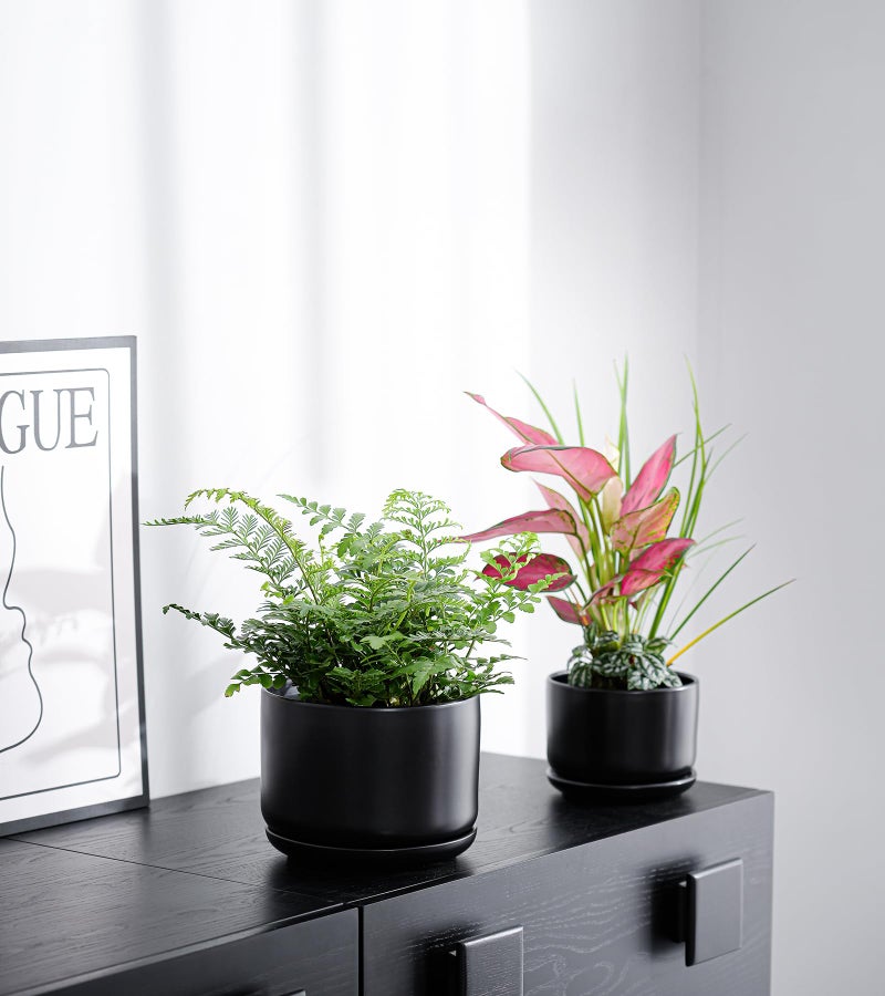 Ton Sin Plant Pots, 4.1+5.1+6.5 inch, Set of 3, Ceramic Planters with Drainage Hole and Saucer, Indoor Flower Pot Gifts for Momï¼ˆMatte Blackï¼‰ - Image 4
