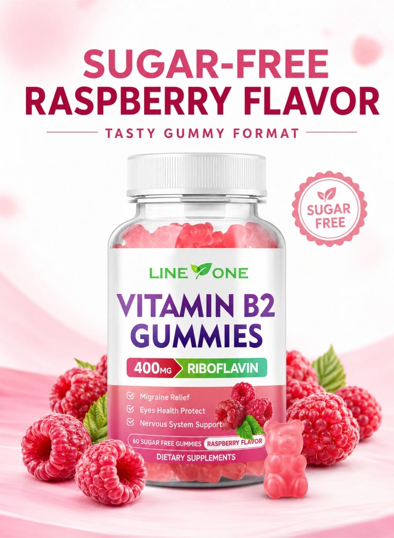 Best Vitamin B2 Gummies 400mg with Riboflavin, B2 Gummy Supplement for Energy & Nervous System Support, Sugar-Free Raspberry Gummies for Kids & Adults - Image 5