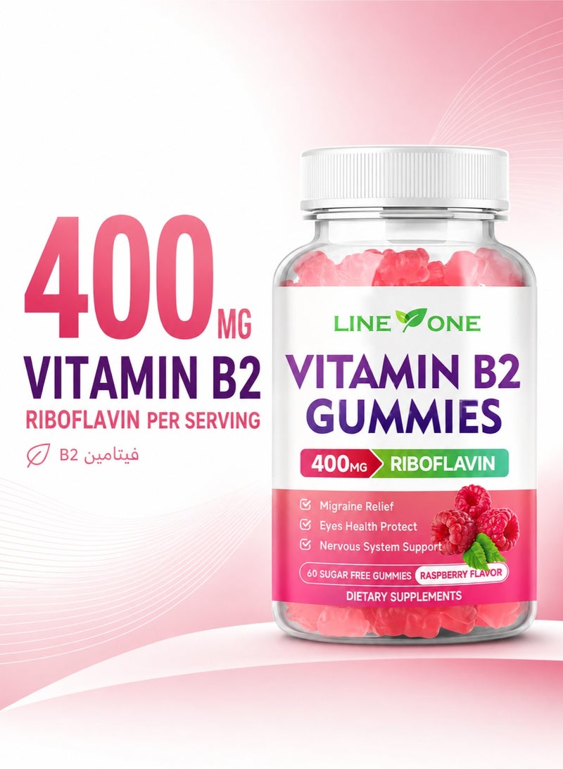 Best Vitamin B2 Gummies 400mg with Riboflavin, B2 Gummy Supplement for Energy & Nervous System Support, Sugar-Free Raspberry Gummies for Kids & Adults - Image 2