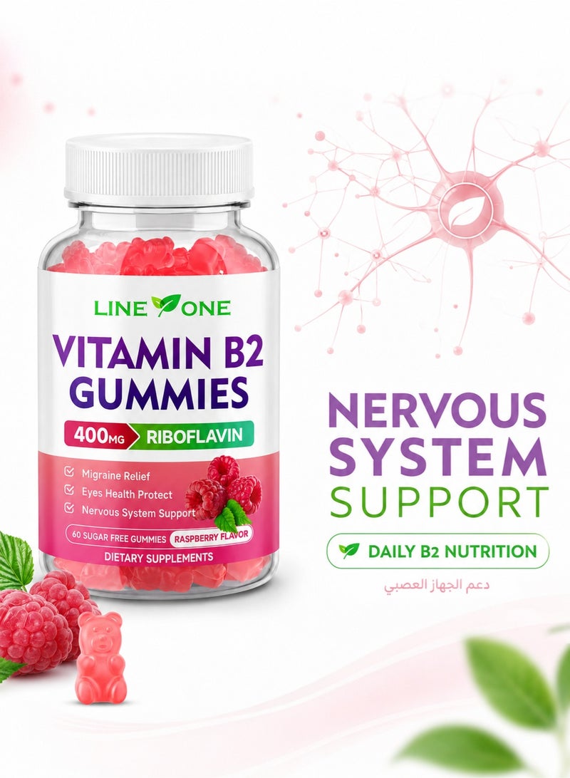 Best Vitamin B2 Gummies 400mg with Riboflavin, B2 Gummy Supplement for Energy & Nervous System Support, Sugar-Free Raspberry Gummies for Kids & Adults - Image 4