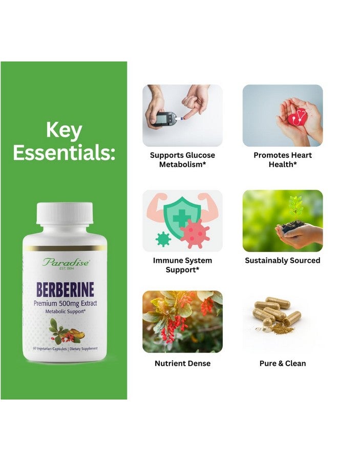 Paradise Herbs أعشاب الجنة، مستخلص البربرين، 500 ملغ، مكمل بربرين نقي وقوي، نباتي، غير معدل وراثيًا، خالي من الغلوتين، 60 كبسولة نباتية - Image 2