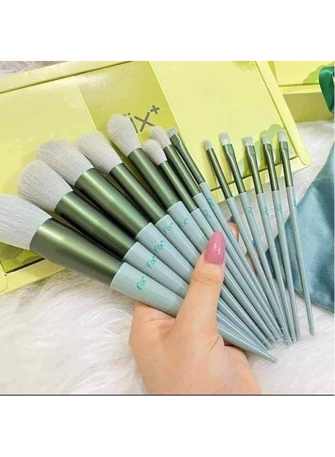 فرش مكياج احترافية 12 قطعة