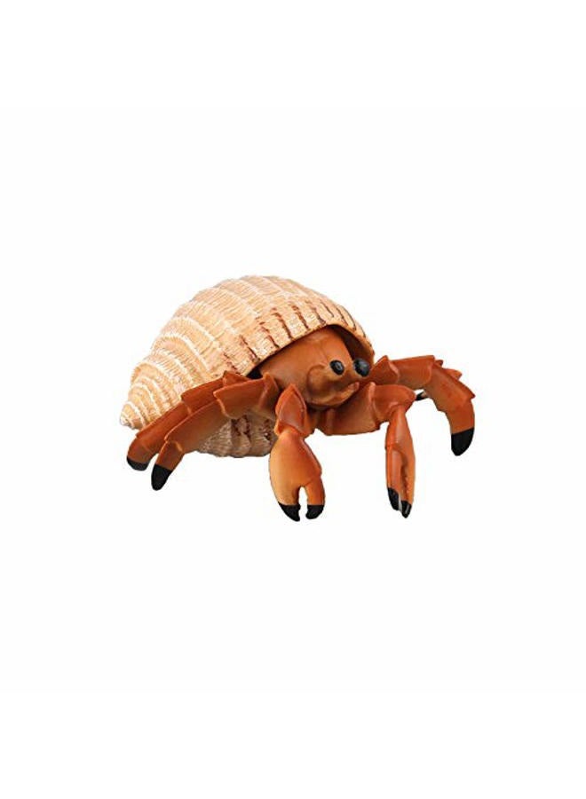 Warmtree Simulated Animals Figurines Realistic Model Plastic Animals Figure (Hermit Crab) - Image 1