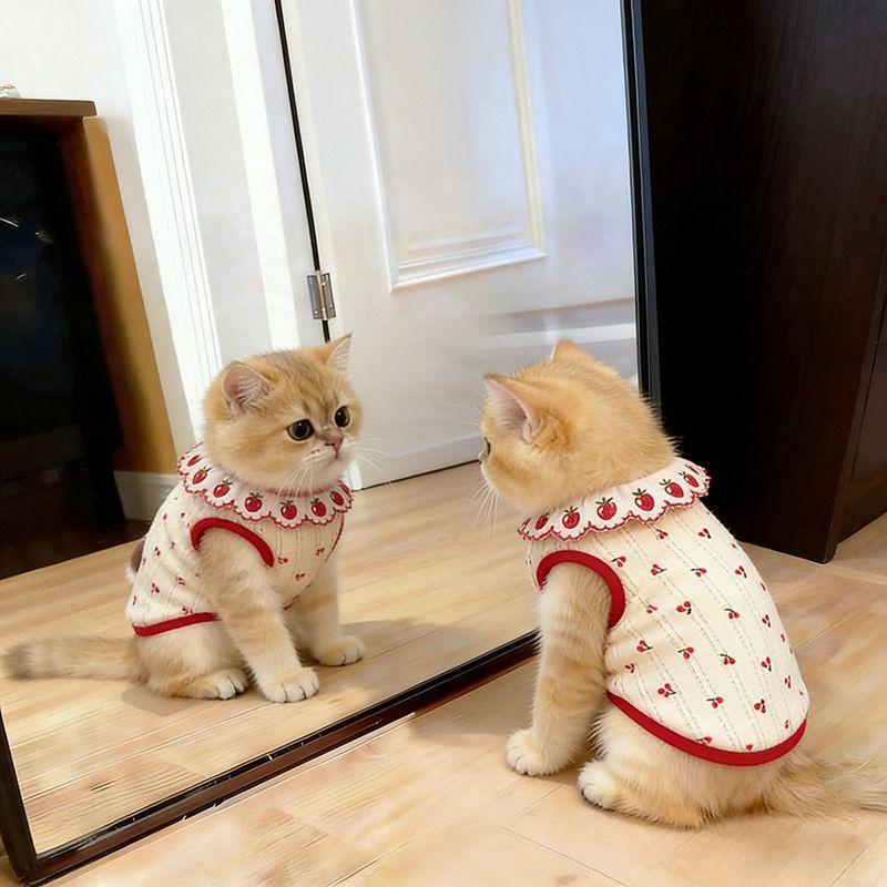 Cute Pet Clothes for Cats - Floral Lace Vest, Cherry Print, Gradient Color, Breathable Thin  Fabric - Image 2