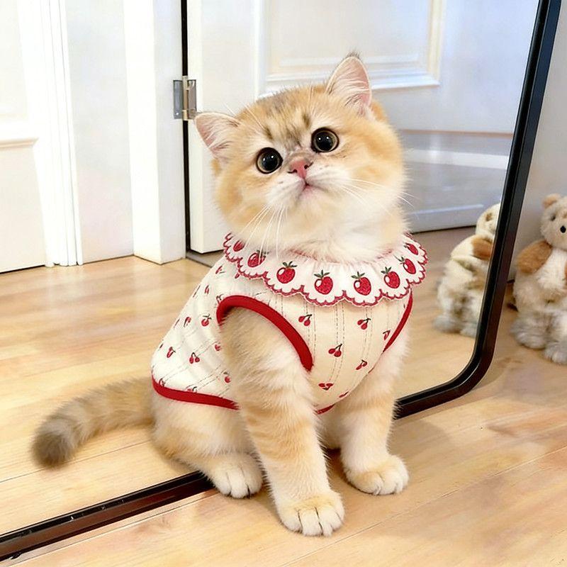 Cute Pet Clothes for Cats - Floral Lace Vest, Cherry Print, Gradient Color, Breathable Thin  Fabric - Image 3
