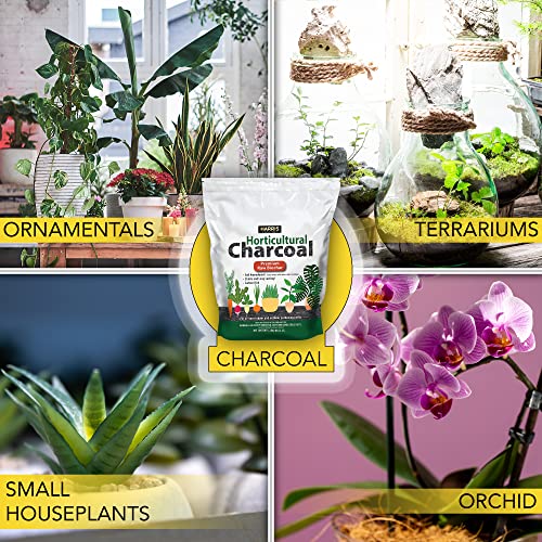 Harris Horticultural Charcoal, Premium Biochar Soil Amendment for Plants and Terrariums, 2qt - Image 5