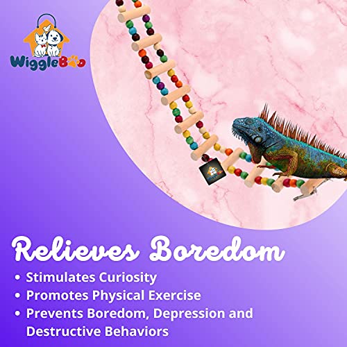 WiggleBoo Pet Flexible Ladder Cage Toy | for Reptiles - Iguana, Gecko, Lizards | Playing, Climbing & Chewing | 48cm - Image 3