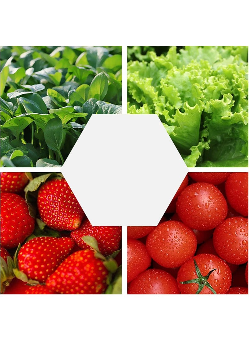 Apustim 200ml Plant Food，Suitable For Hydroponic Planting System，Plant Nutrient Solution a And b，Multi Purpose Concentrated Fertilizer，Suitable For Leafy Vegetables，Root Vegetables And Fruits  - Image 5