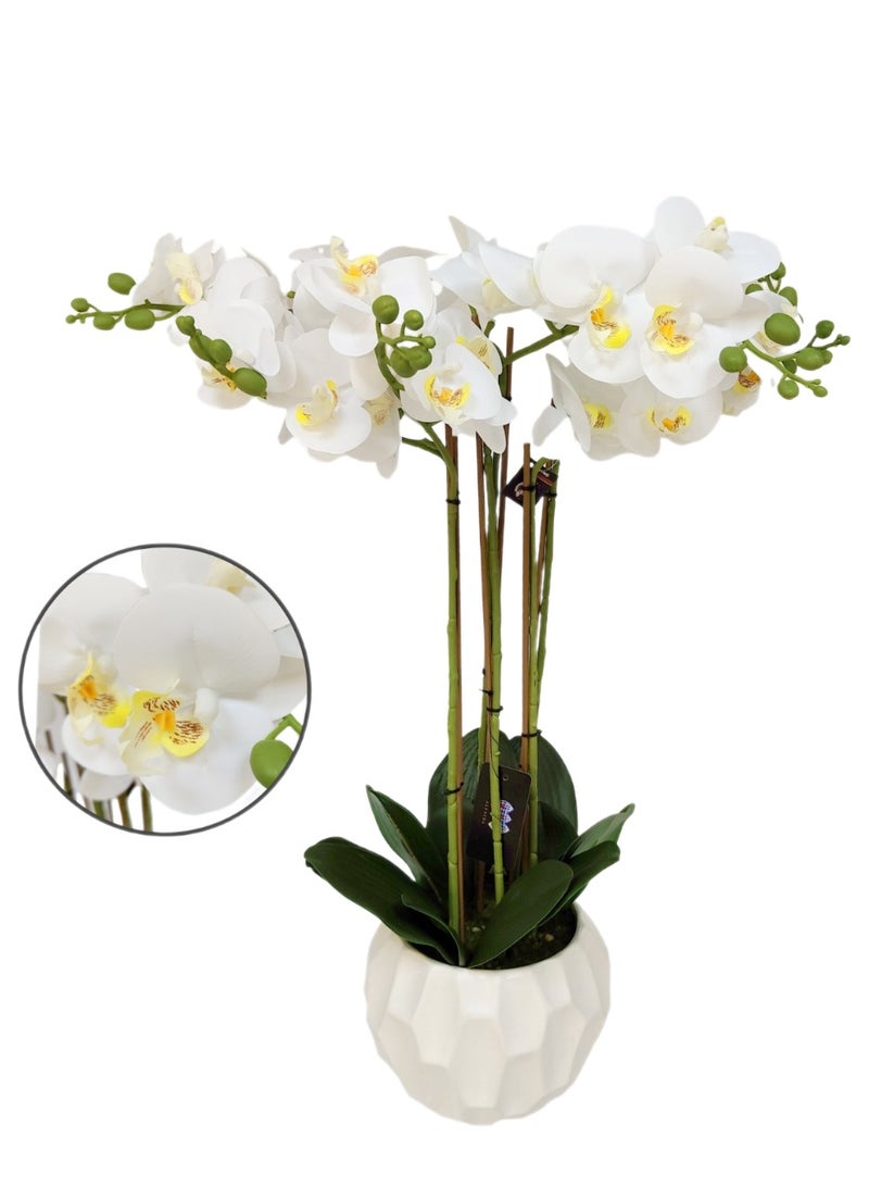 Living Artificial white orchid flowers, natural look, multiple branches, white pot, height 85 cm  - Image 3