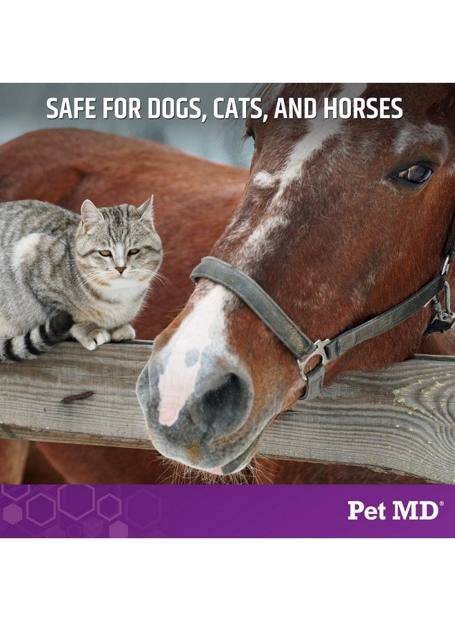 بيت إم دي شامبو موضعي من Pet MD Micoseb-CX للكلاب والقطط والخيول مع ميكونازول - 12 أونصة - Image 5