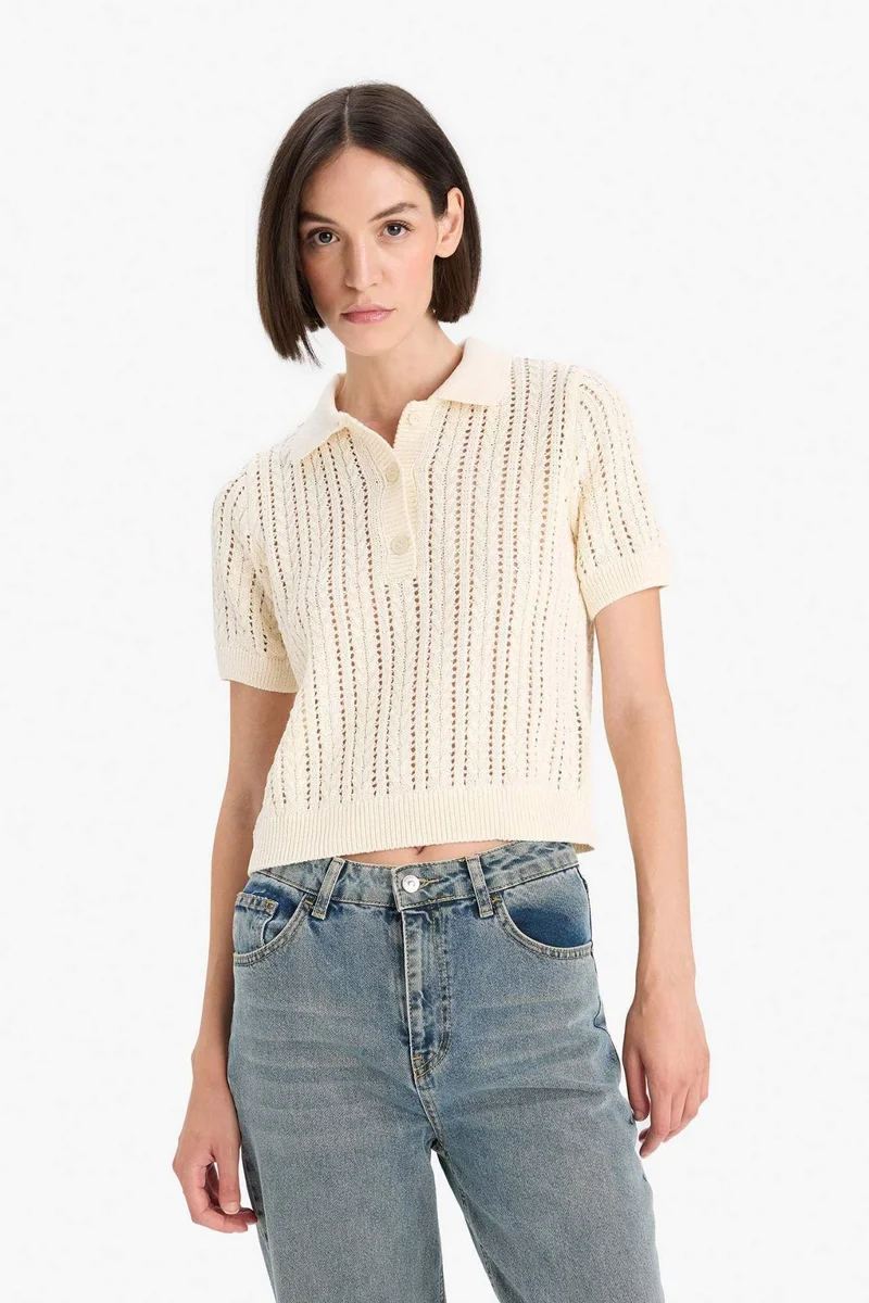 DeFacto Regular Fit Polo Collar Knitwear Pullover
