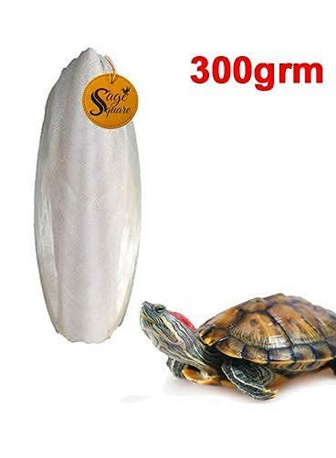 سايج سكوير سمك الحبار الطبيعي الغني بالكالسيوم للسلاحف (300 جرام) - Image 3