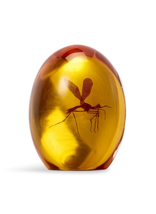 Jurassic Park Mosquito In Amber Resin Prop Replica | Official Jurassic Park Collectible Paper Weight | Measures 3 Inches Tall - pzsku/Z124ACBF89DD3A1F04746Z/45/_/1735214702/17f887ef-80c7-4c55-95e2-f115a99e7046