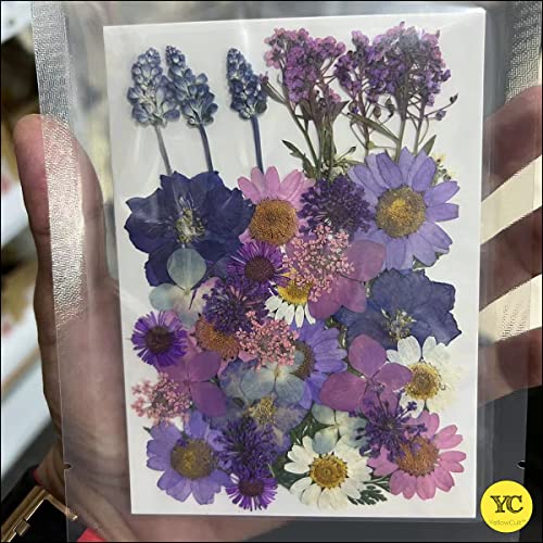 YellowCult Natural Real Dried & Pressed Flowers for Art Craft - Mixed, Multicolor for Soap, Candle, Scrapbooking, DIY, Resin Jewelry, Pendant - [Luxury Yellow 40-45 pcs] - Image 4