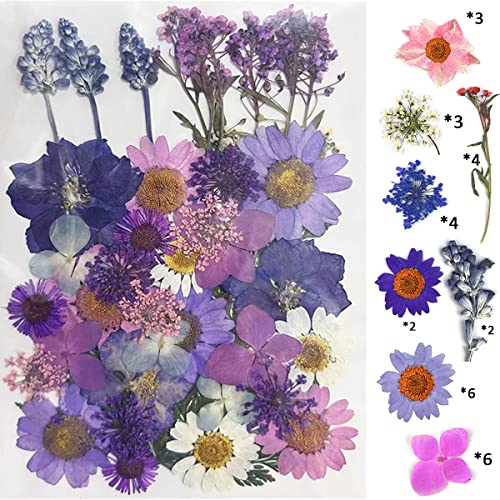 YellowCult Natural Real Dried & Pressed Flowers for Art Craft - Mixed, Multicolor for Soap, Candle, Scrapbooking, DIY, Resin Jewelry, Pendant - [Luxury Yellow 40-45 pcs] - Image 1