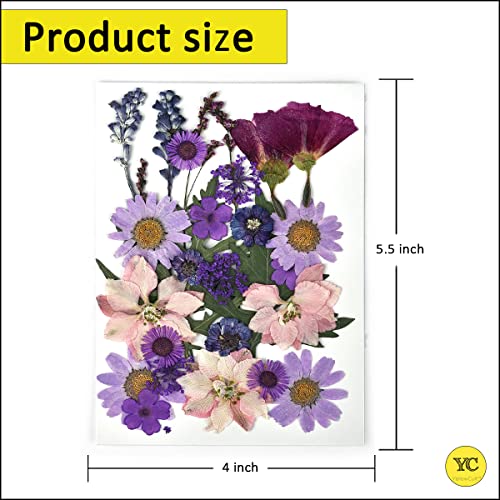 YellowCult Natural Real Dried & Pressed Flowers for Art Craft - Mixed, Multicolor for Soap, Candle, Scrapbooking, DIY, Resin Jewelry, Pendant - [Luxury Yellow 40-45 pcs] - Image 2