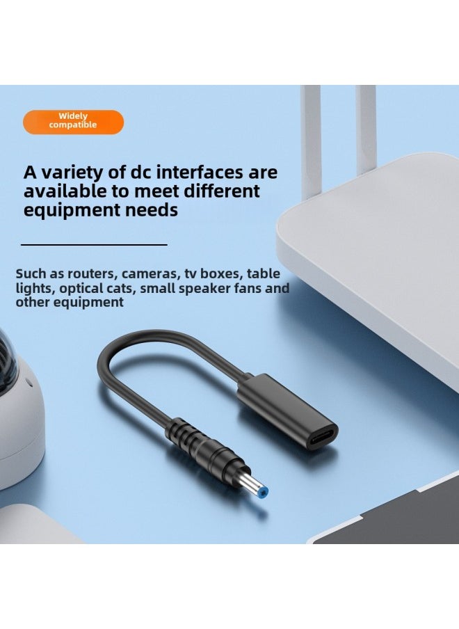 Typec Female To DC Multiple Specifications Charging Extension Cable Suitable For Notebook Pd Lure 65W Fast Charging Adapter Cable-Color:7955