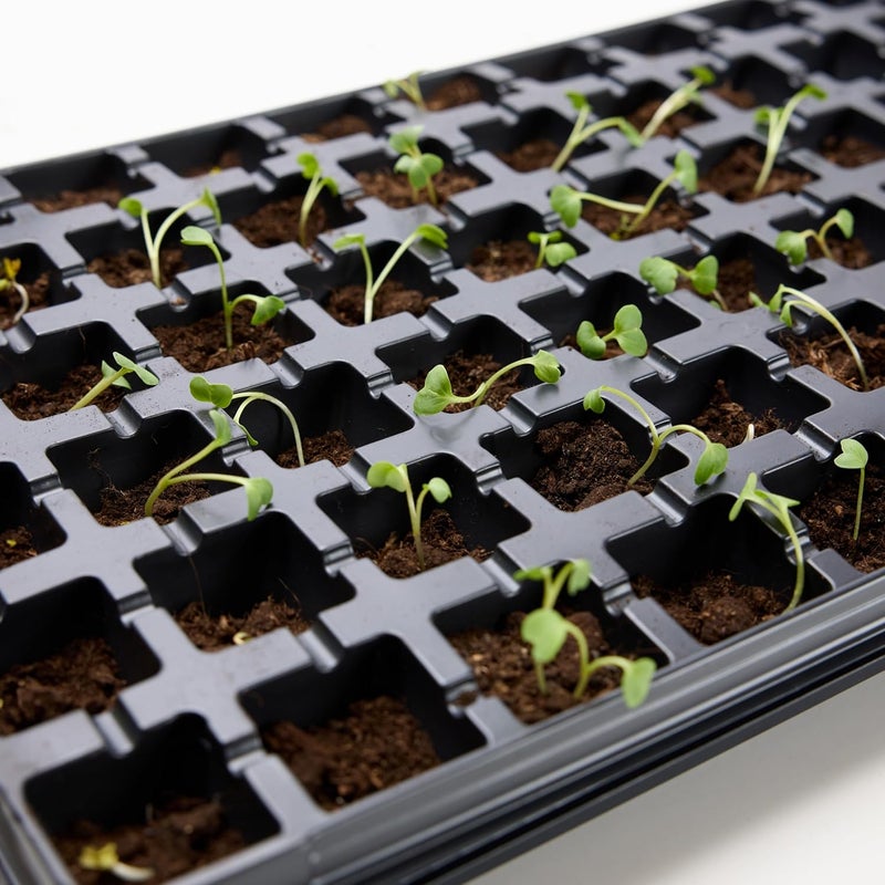 Meridian 112-Cell Seed Germination Tray (53x32cm) - 1-Piece, Black CT - Image 5