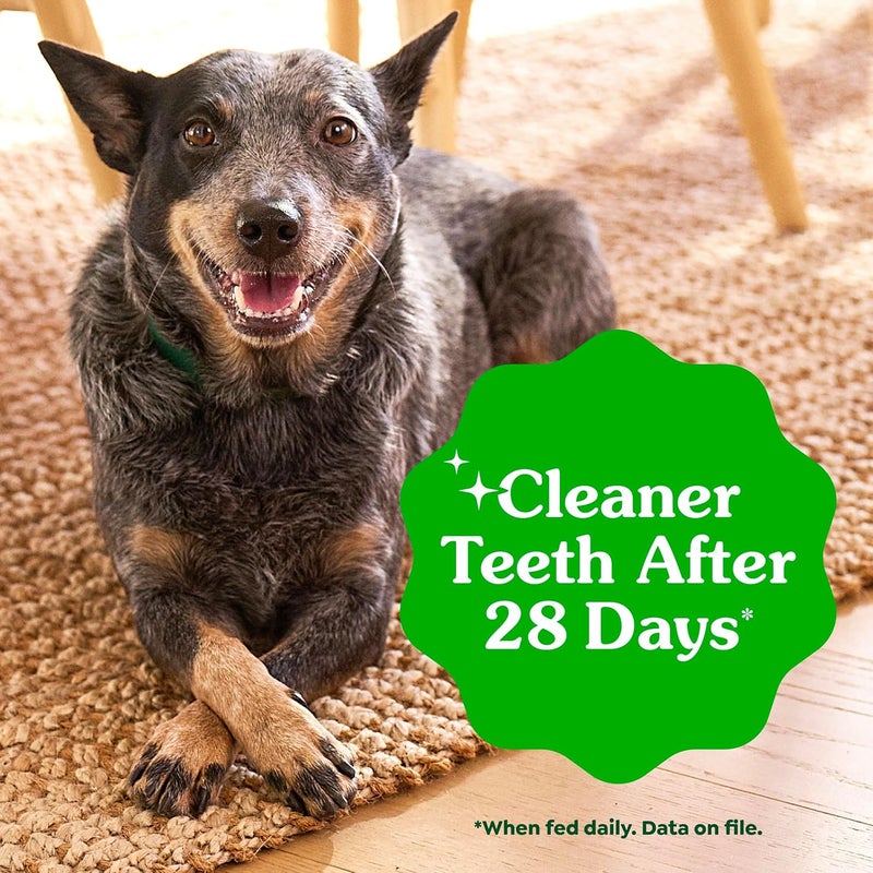 جرينيز حزمة GREENIES TEENIE Natural Dog Dental Care Chews للعناية بصحة الفم، نكهة طازجة، وزن العبوة 12 أونصة (تحتوي على 43 حبة). - Image 5