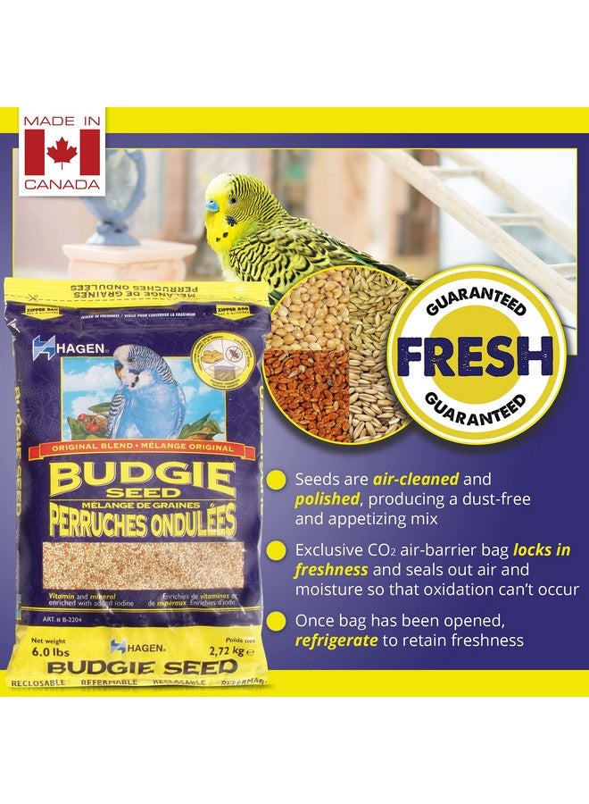 هاغن بذور أساسية للببغاوات/البادجي، 6 أرطال - Image 3
