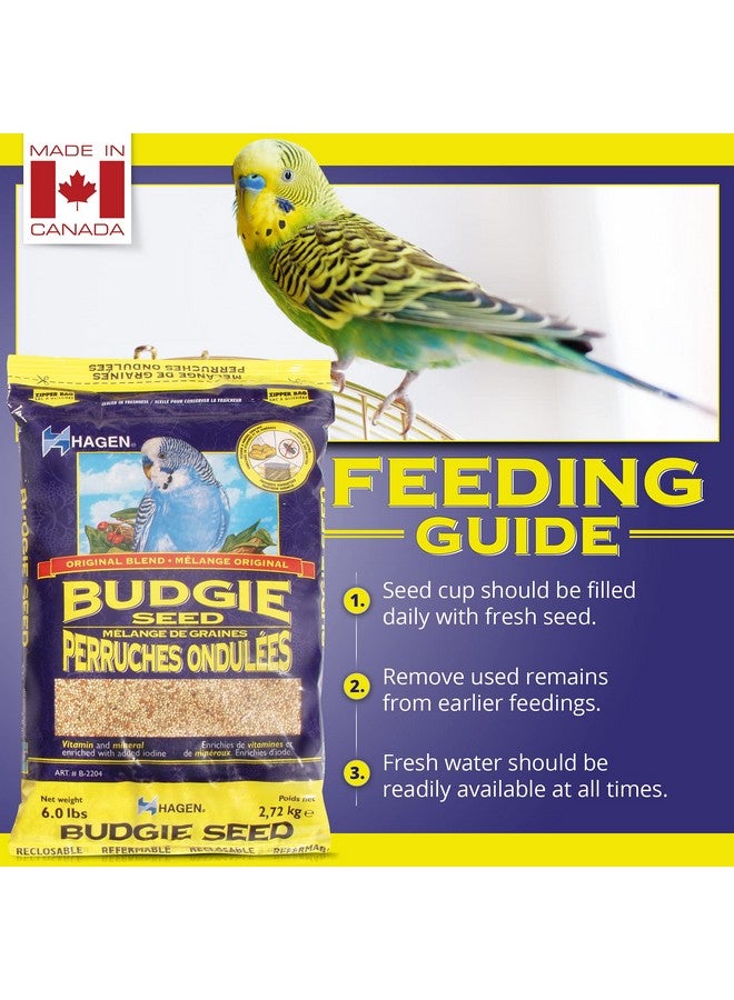 هاغن بذور أساسية للببغاوات/البادجي، 6 أرطال - Image 4