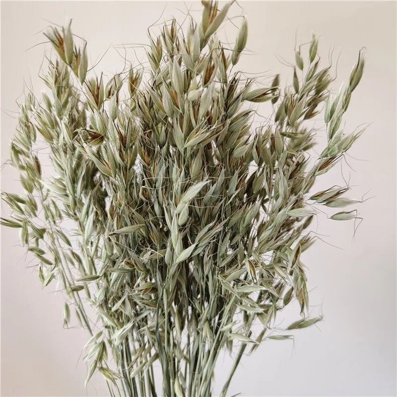 Bluejw Small Eucalyptus Reed Box with Dried Pampas Grass - Natural Floral Arrangement for Wedding, Christmas & Chinese New Year Decor - Image 1