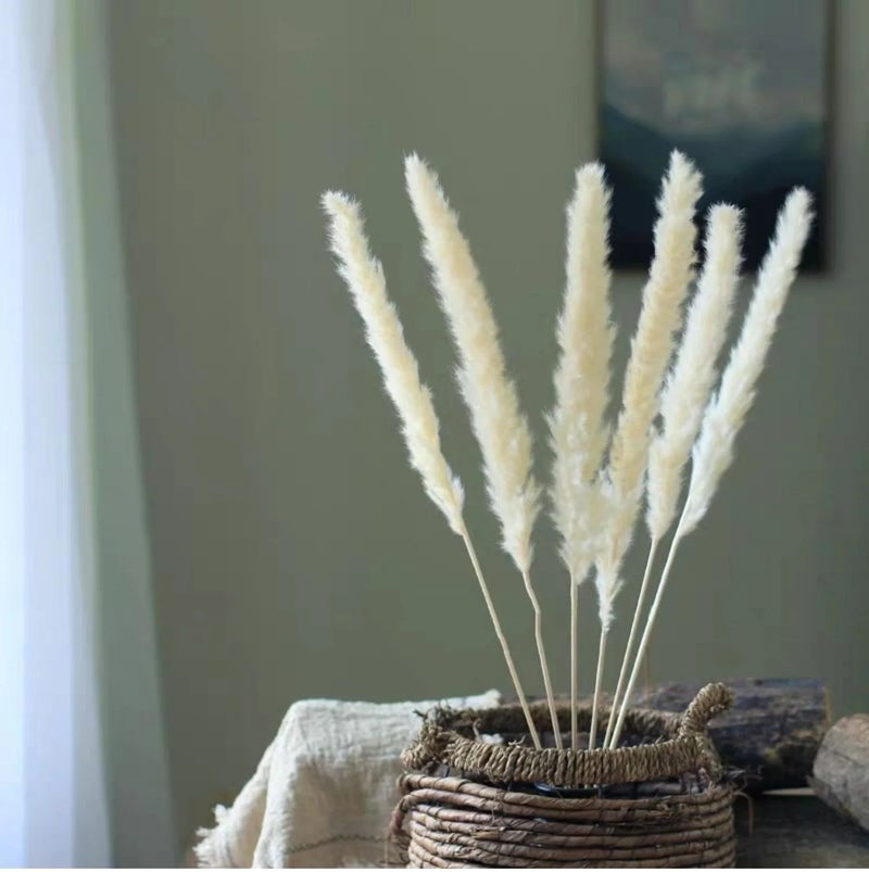 Bluejw Small Eucalyptus Reed Box with Dried Pampas Grass - Natural Floral Arrangement for Wedding, Christmas & Chinese New Year Decor - Image 3
