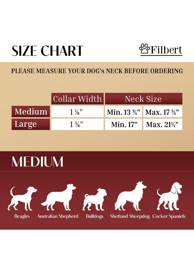 Filbert Leather Dog Collar with Airtag Holder, Upgraded Secure Airtag Collar Luxury, for Medium Dogs, Leather, Waterproof, Premium, Adjustable for All Breeds, Heavy Metal Buckle, Ultra-Durable - Image 3