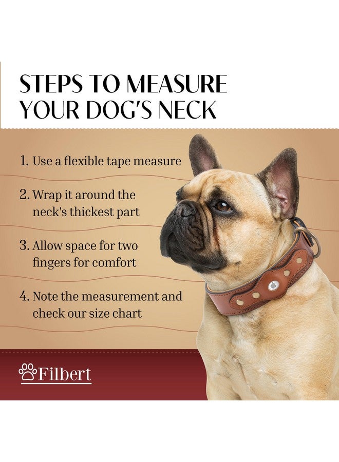 Filbert Leather Dog Collar with Airtag Holder, Upgraded Secure Airtag Collar Luxury, for Medium Dogs, Leather, Waterproof, Premium, Adjustable for All Breeds, Heavy Metal Buckle, Ultra-Durable - Image 5