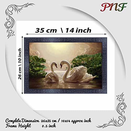 pnf Poster And Frames Swan Wall Painting With Acrylic Sheet | For Living Room, Bedroom | Home Decoration Item | Best Gifting Option (10 * 14inch,Multicolour,Synthetic) 4541 - Image 2