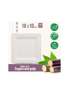 Fun Sukkar Pulp Square Plate 10x10 inch Eco-Friendly Disposable Dinnerware white plate for party, Camping,Compostable,Recyclable and biodegradable Picnic Plates (Pack of 10)  - Image 4