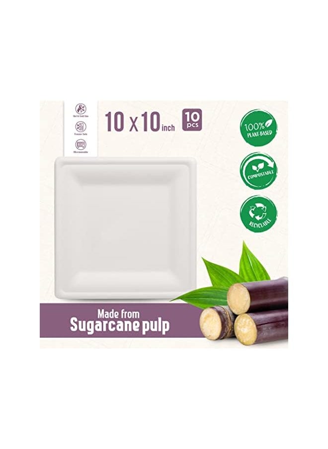 Fun Sukkar Pulp Square Plate 10x10 inch Eco-Friendly Disposable Dinnerware white plate for party, Camping,Compostable,Recyclable and biodegradable Picnic Plates (Pack of 10)  - Image 4