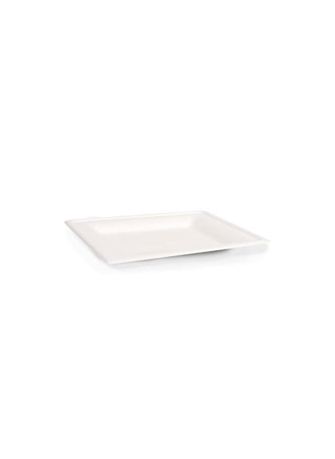 Fun Sukkar Pulp Square Plate 10x10 inch Eco-Friendly Disposable Dinnerware white plate for party, Camping,Compostable,Recyclable and biodegradable Picnic Plates (Pack of 10)  - Image 2