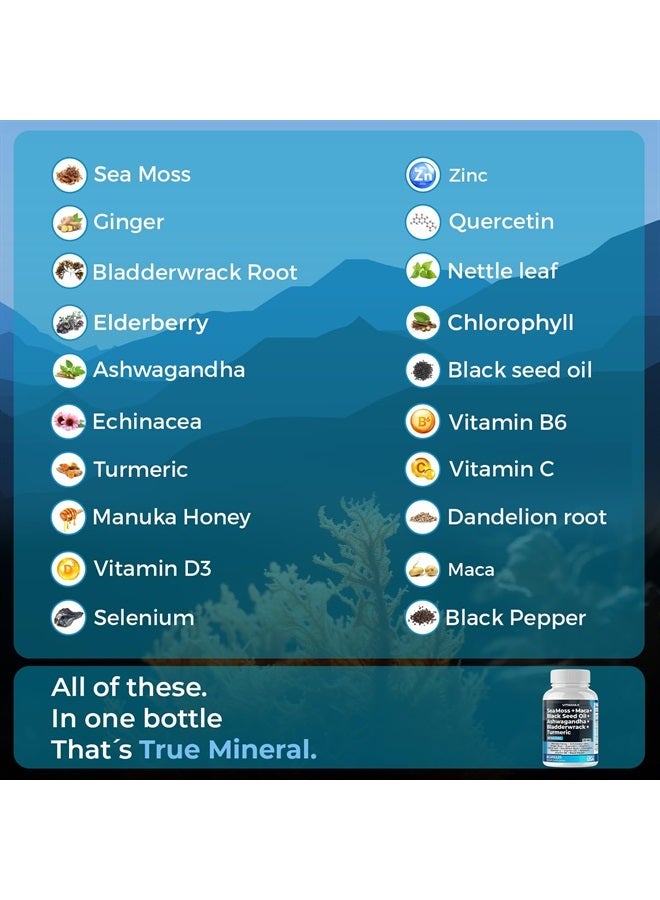 Vitamax Sea Moss 3000mg Maca 1000mg Black Seed Oil 2000mg Ashwagandha 1000mg Bladderwrack, Turmeric - Manuka, Elderberry, Vitamins C & D3, Chlorophyll, Zinc, Black Pepper - Made in USA (60 Count (Pack of 1) - Image 3