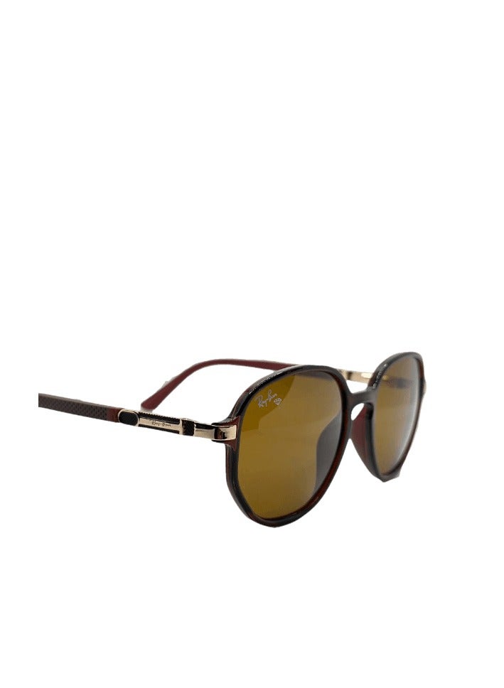 Ray-Ban Sunglasses - Brown-104-RB8221 - Image 3