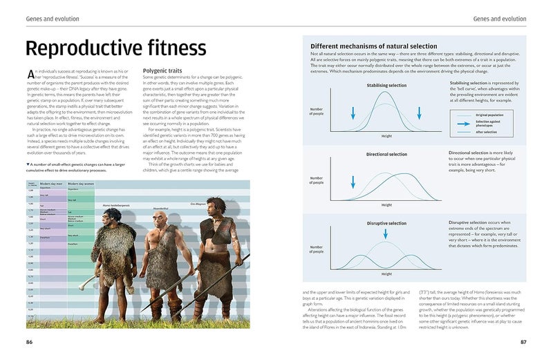 The Human DNA Manual: Understanding Your Genetic Code: Evolution * Ances  - Image 5