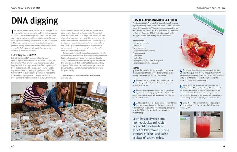 The Human DNA Manual: Understanding Your Genetic Code: Evolution * Ances  - Image 4