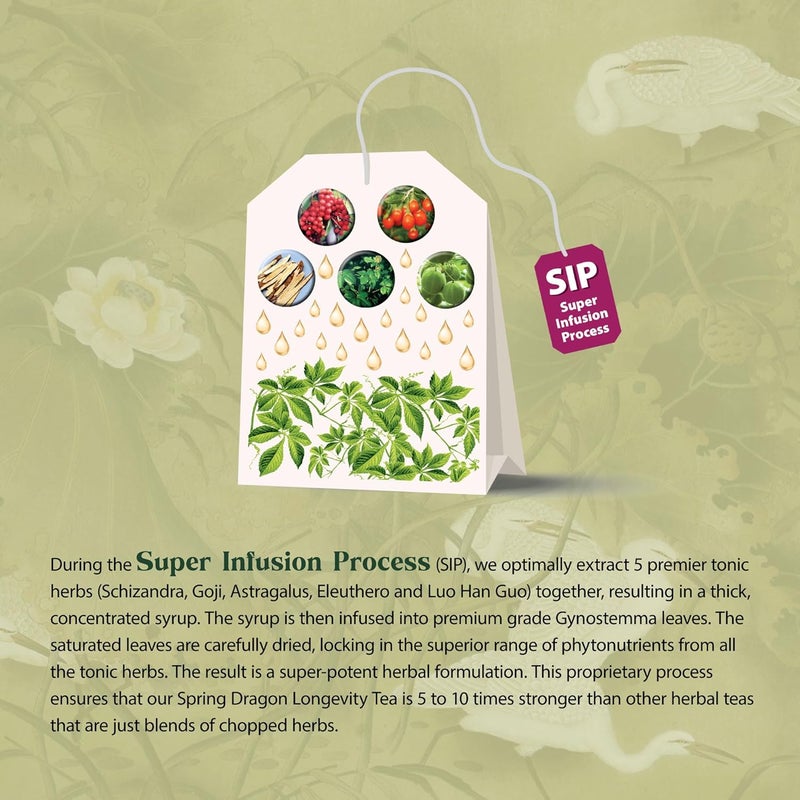 Dragon Herbs شاي دراجون هيربز سبرينغ دراجون لونغيفيتي - شاي عشبي متكيف مع جينوسيتما، شيزاندرا، جوجي، أستراجالوس، إلوثيرو، ولوان هان قوه - Image 3