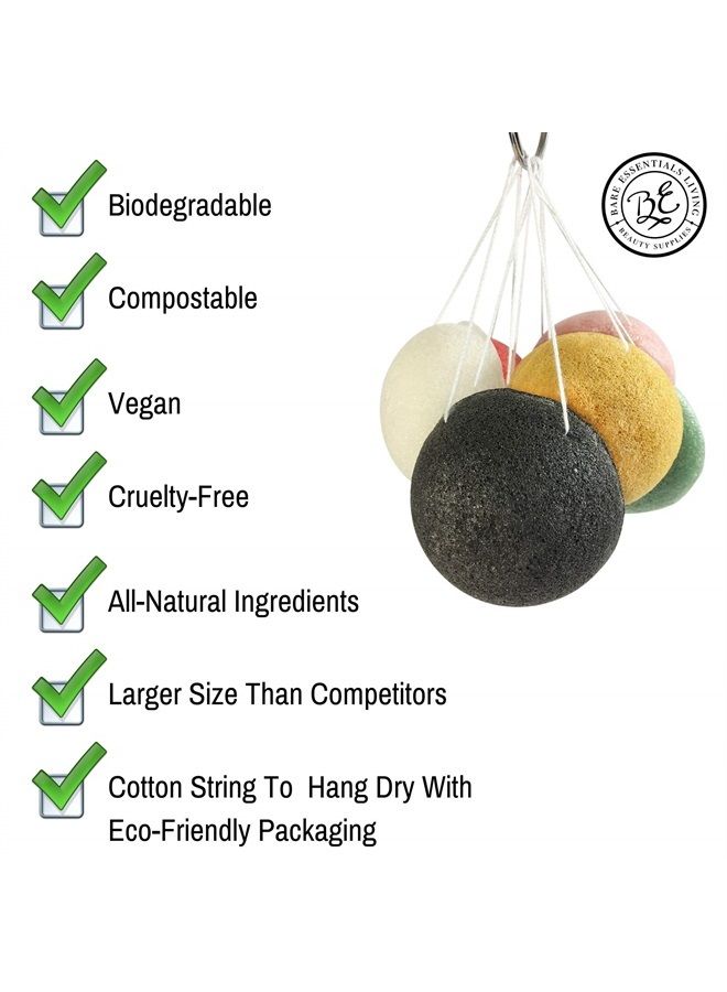 Bare Essentials Living طقم إسفنج كونجاك 10 عبوة - إسفنج وجه لطيف لتنظيف وتقشير الوجه بعمق بالفحم النشط من الخيزران، الكركم، الطين الأخضر الفرنسي، الطين الوردي والأحمر للجسم والوجه من بار إيسينشالز ليفينغ - Image 2