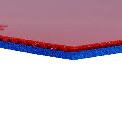 Donic Bluesstorm Z1 Table Tennis Rubber (Black) - Image 3