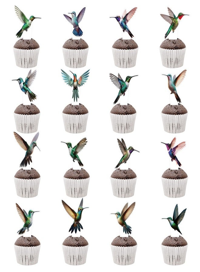 FOZEE 32Pcs Hummingbird Cupcake Toppers, Hummingbird Cake Picks, Bird Party Decorations, Hummingbird Birthday Party Decorations, Hummingbird Decorations - Image 1