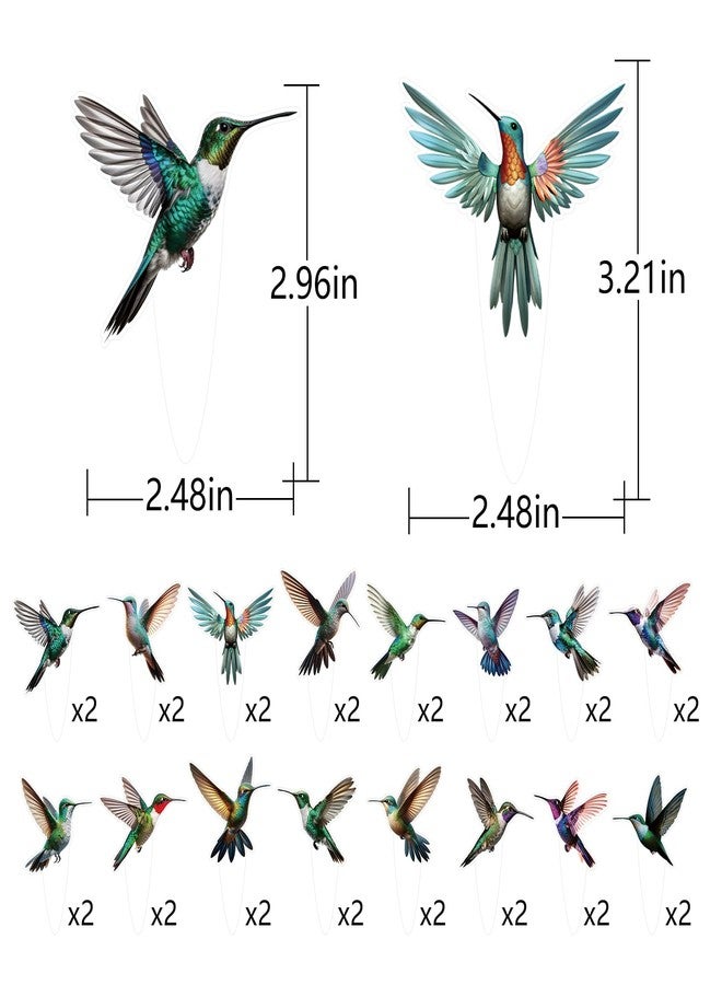 FOZEE 32Pcs Hummingbird Cupcake Toppers, Hummingbird Cake Picks, Bird Party Decorations, Hummingbird Birthday Party Decorations, Hummingbird Decorations - Image 2