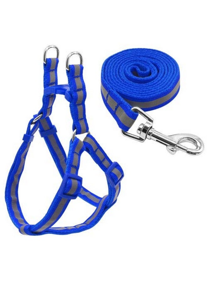 Adjustable Soft Nylon Strip Radium Dog Harness & Leash Set For Puppies And Small Breed Dog Reflected Harness & Leash Set 15Mm (Blue Color) - Image 1