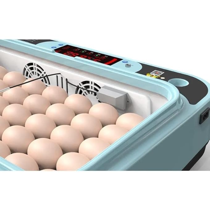 rayihni 24 Chicken Egg IncubatorAutomatic HumidityWater Supply And Temperature Incubator With Egg Testing Function - Image 3