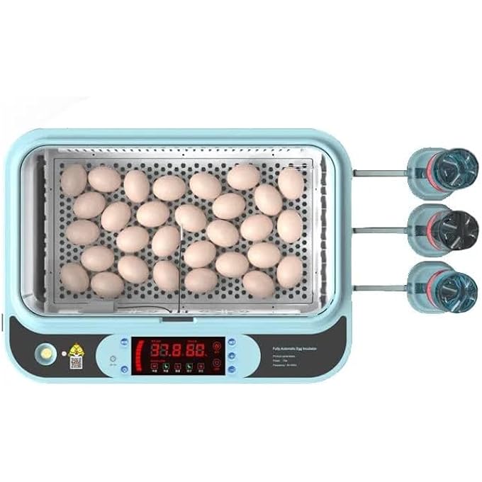 rayihni 24 Chicken Egg IncubatorAutomatic HumidityWater Supply And Temperature Incubator With Egg Testing Function - Image 4
