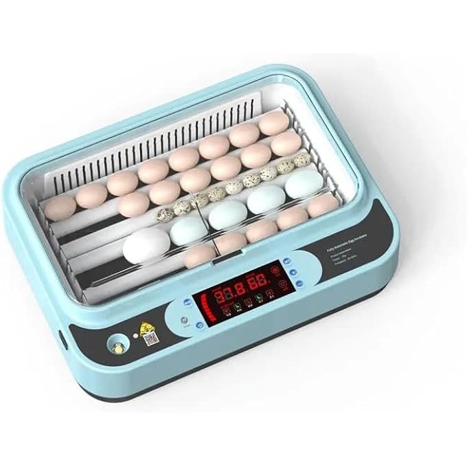 rayihni 24 Chicken Egg IncubatorAutomatic HumidityWater Supply And Temperature Incubator With Egg Testing Function - Image 2