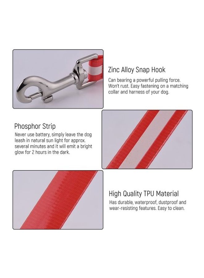 إسكدنيا مقود لامع للكلاب أحمر/أسود/أبيض 1.2متر - Image 2