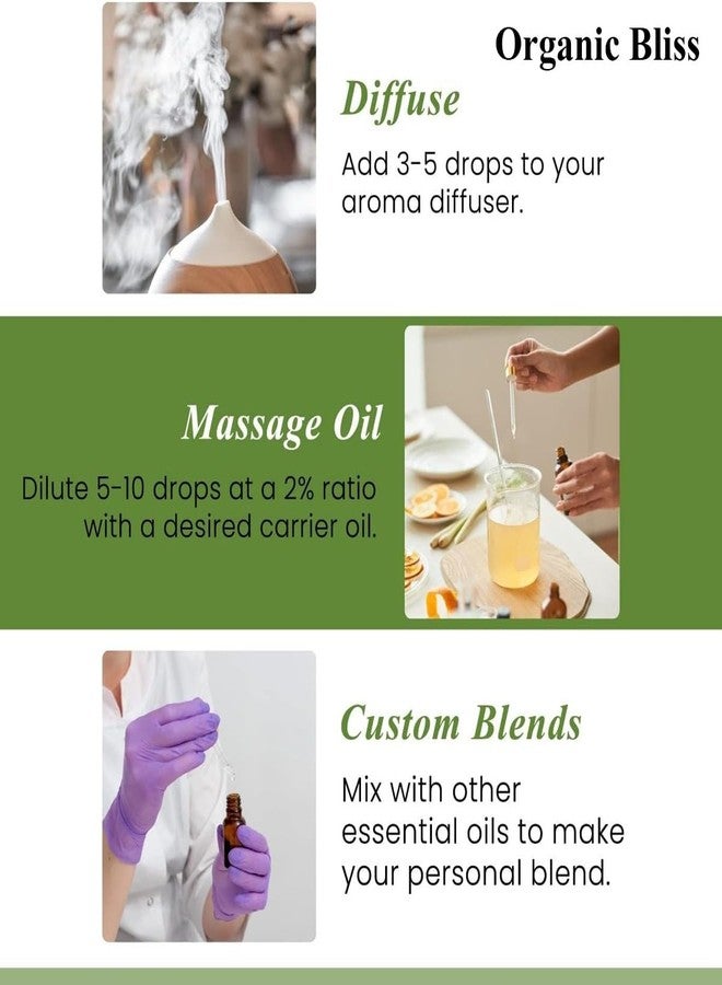 Organic Bliss Lavender of Bulgarian Essential Oil 100% Pure and Natural Therapeutic Grade Essential Oil for Hair Skin Care (50 ML) - Image 3