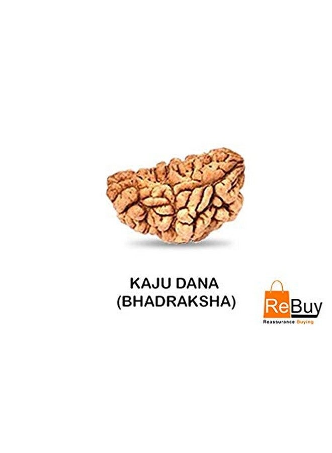 REBUY REBUY 1 Mukhi Rudraksha Bead Lab Certified Original Ek Mukhi Rudraksha for Men and Women, Origin Indian, Color Brown - Image 4